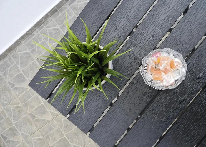 Angelica * Γεννάδι